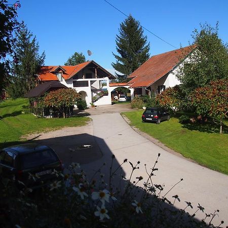 House Ilija Hodak Селиште-Дрежничко Номер фото