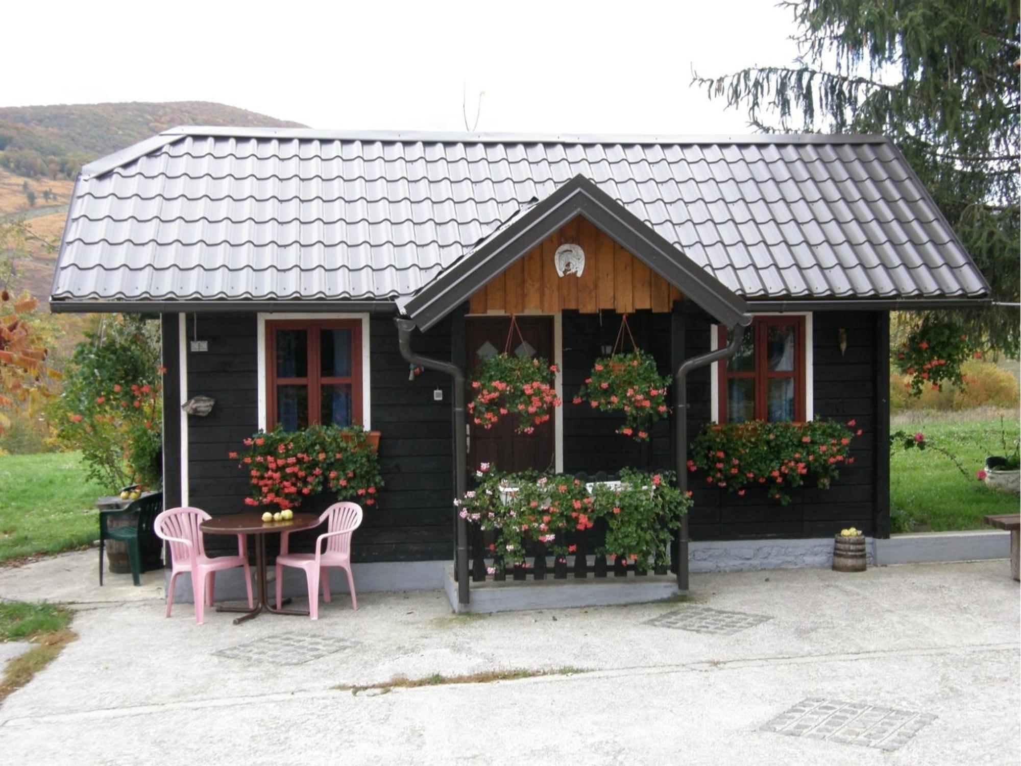 House Ilija Hodak Селиште-Дрежничко Номер фото